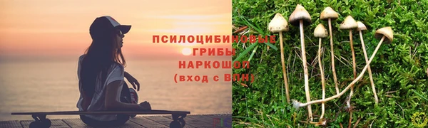 ешки Абаза