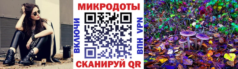купить наркотик  Сусуман  Псилоцибиновые грибы прущие грибы 